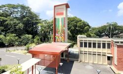 Bukit Timah Fire Station (D21), Shop House #546178461